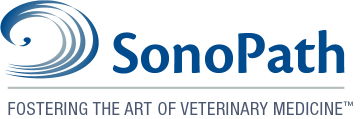 The Sonopath Ivpa Partnership